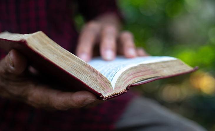 NCC Artikel 09 2 Subheadline 730x447px 01