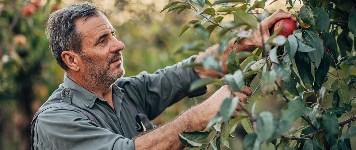 NCC_Artikel-Febr-Der_Herr_mo&ecirc;chte_dich_segnen-AP-1161x490px HAB KEINE ANGST, KLEIN ANZUFANGEN