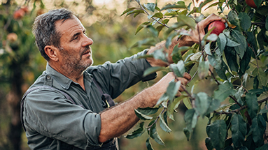NCC_Artikel-Febr-Der_Herr_mo&ecirc;chte_dich_segnen-AP-383x215px GESEGNET, UM EIN SEGEN ZU SEIN