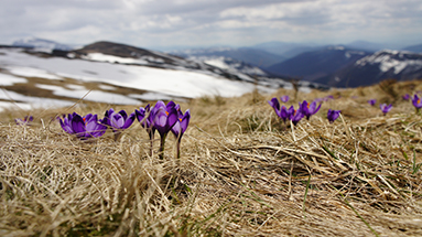 biegun-wschodni-18125-unsplash-2-small ERWARTE GOTTES VIEL GRÖßERE WIEDERHERSTELLUNG (TEIL 2 VON 3)