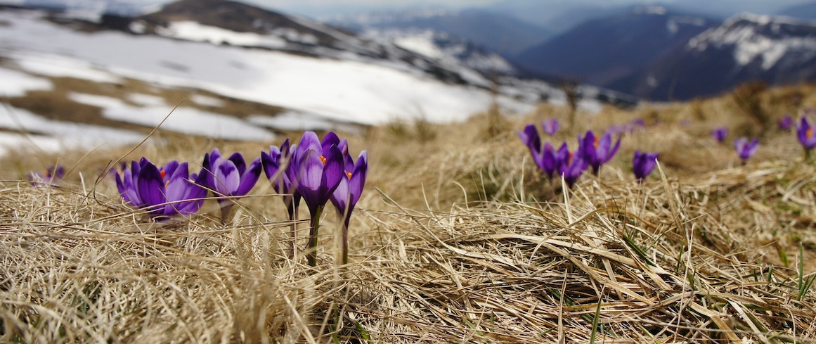 biegun-wschodni-18125-unsplash3-large ERWARTE GOTTES VIEL GR&Ouml;&szlig;ERE WIEDERHERSTELLUNG (TEIL 3 VON 3)