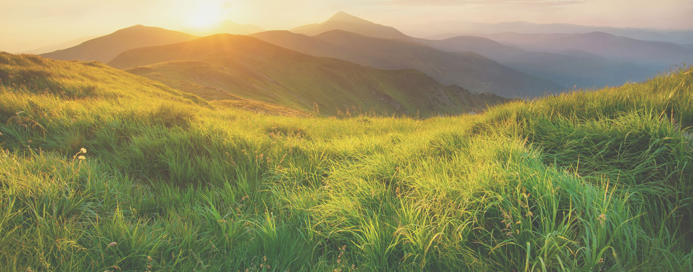 CTA-Banner_Receiving-Jesus image JESUS ANNEHMEN